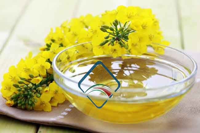 नॉन एलर्जिक है कैनोला